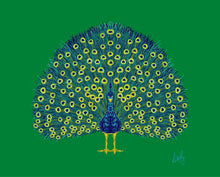 Hand Painted Framed Peacock Fine Art Print - various backgrounds