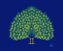 Peacock Fine Art Print - various backgrounds