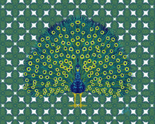 Peacock Fine Art Print - various backgrounds