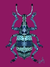 Beetle 3 Wall Art
