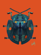 Beetle 4 Wall Art