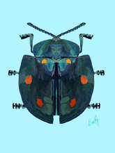 Beetle 4 Wall Art
