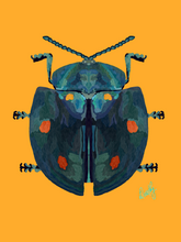 Beetle 4 Wall Art