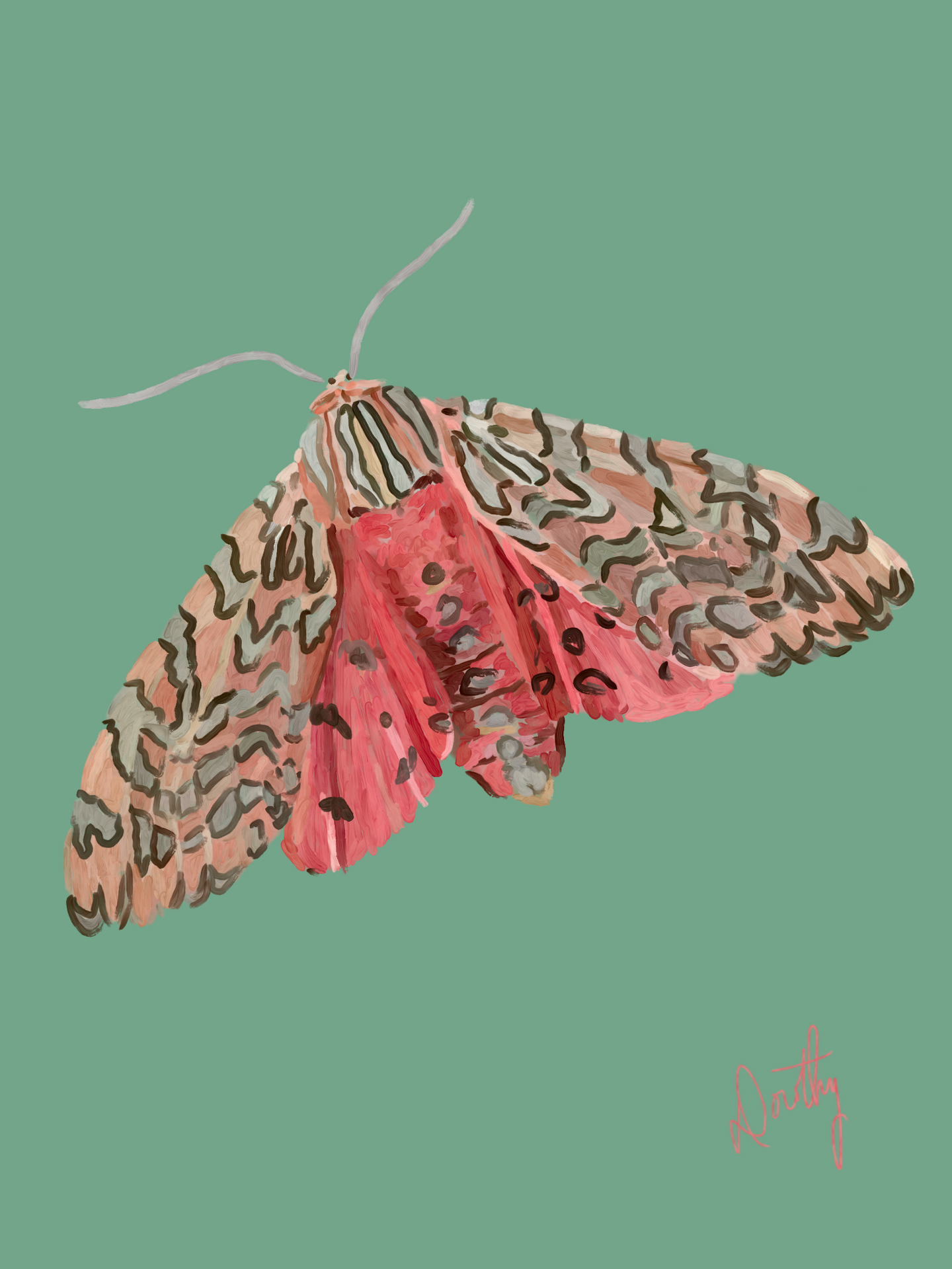 Moth 1 Wall Art