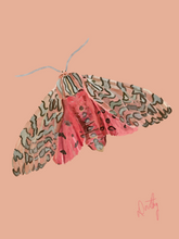 Moth 1 Wall Art