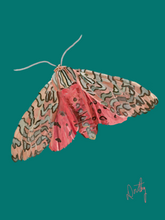 Moth 1 Wall Art