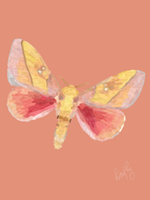 Moth 2 Wall Art