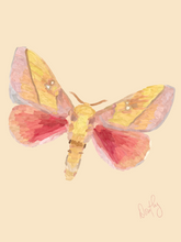 Moth 2 Wall Art