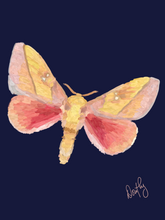 Moth 2 Wall Art