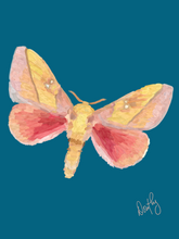 Moth 2 Wall Art