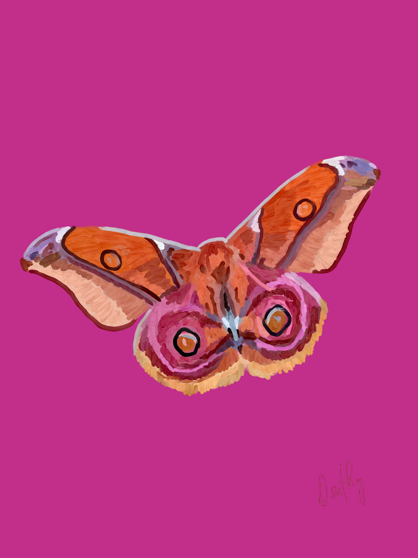 Moth 3 Wall Art