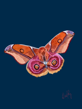 Moth 3 Wall Art