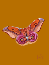 Moth 3 Wall Art