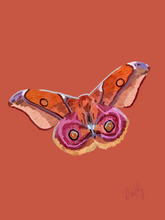 Moth 3 Wall Art