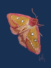 Moth 4 Wall Art