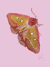 Moth 4 Wall Art