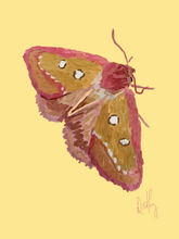 Moth 4 Wall Art