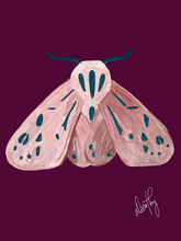 Moth 5 Wall Art