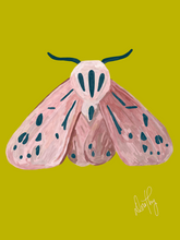 Moth 5 Wall Art