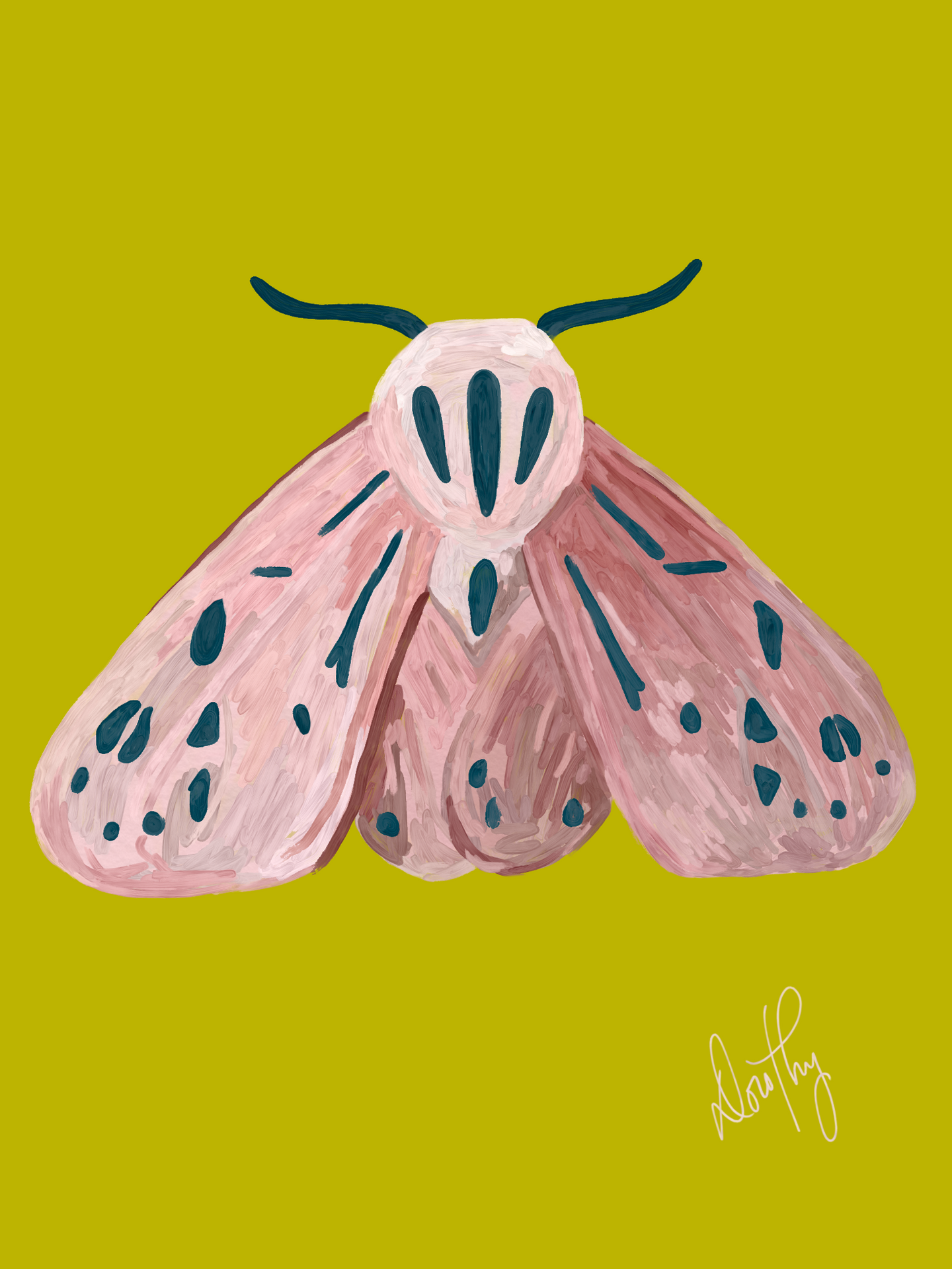 Moth 5 Wall Art