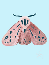 Moth 5 Wall Art