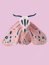 Moth 5 Wall Art