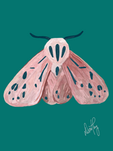 Moth 5 Wall Art