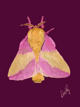 Moth 6 Wall Art