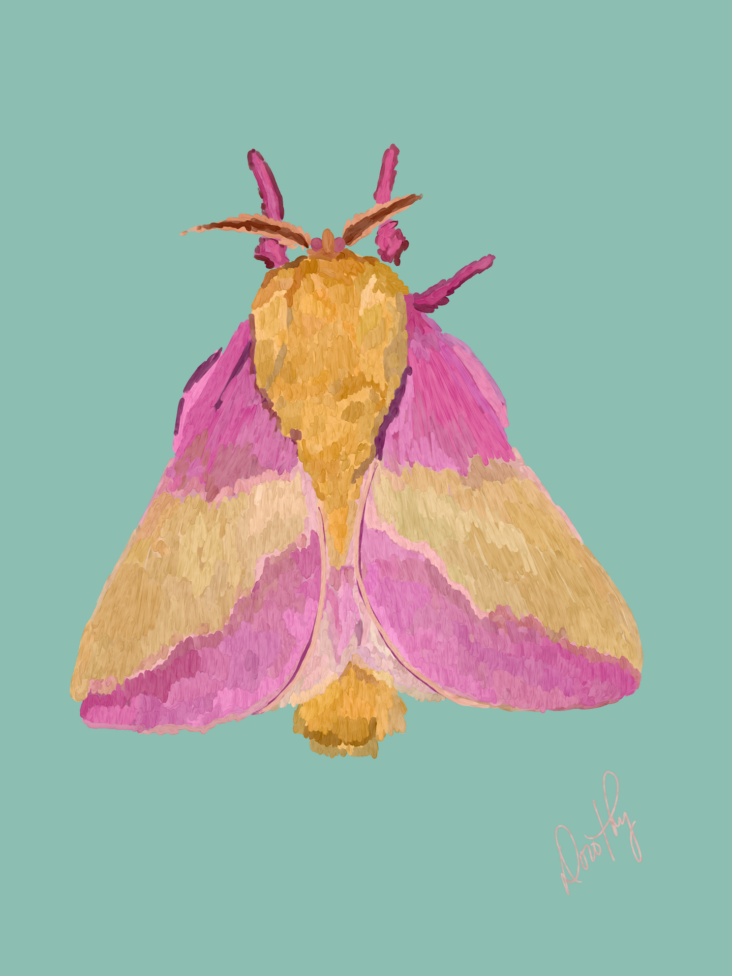 Moth 6 Wall Art