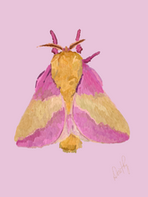 Moth 6 Wall Art