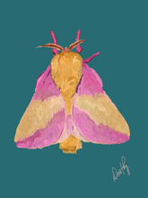 Moth 6 Wall Art