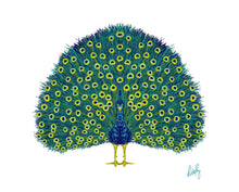 Peacock Fine Art Print - various backgrounds