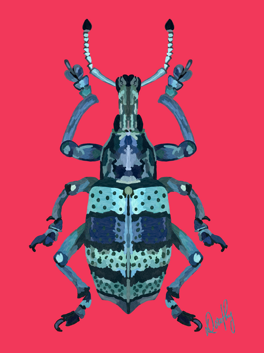 Beetle 3 Wall Art