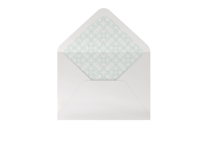 fern in blue envelope liner