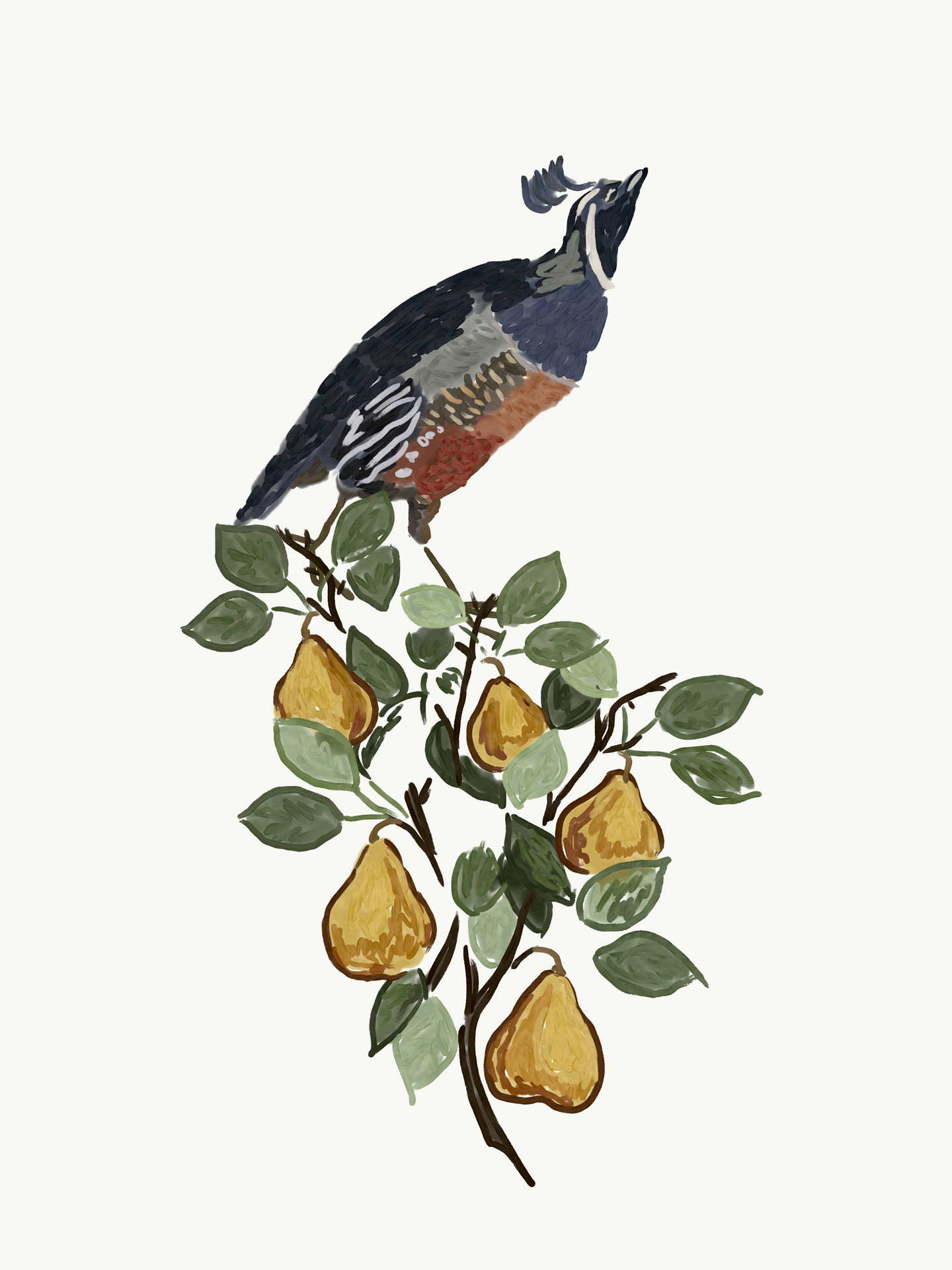 Partridge in a Pear Tree Print - Dorothy Art